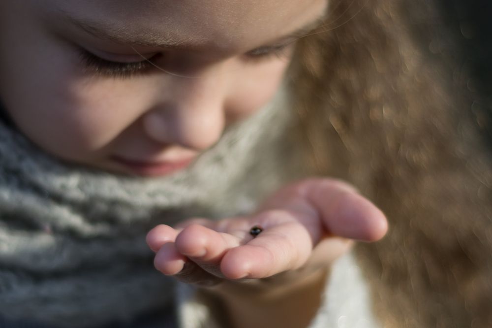 Новое знакомство