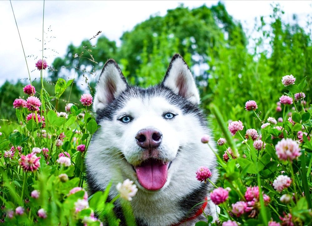 Фотография автора Мария Яропольская