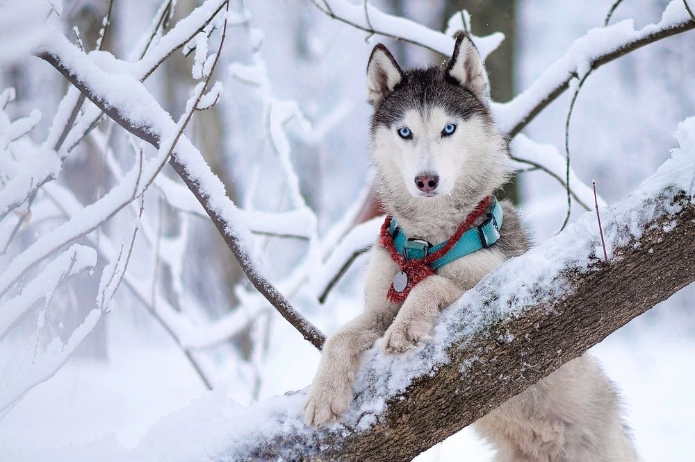 Фотография автора Мария Яропольская