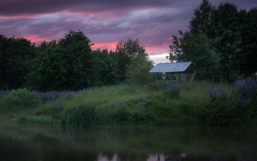 После дождя