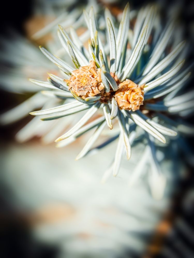 Photograph by Karina Sapfir