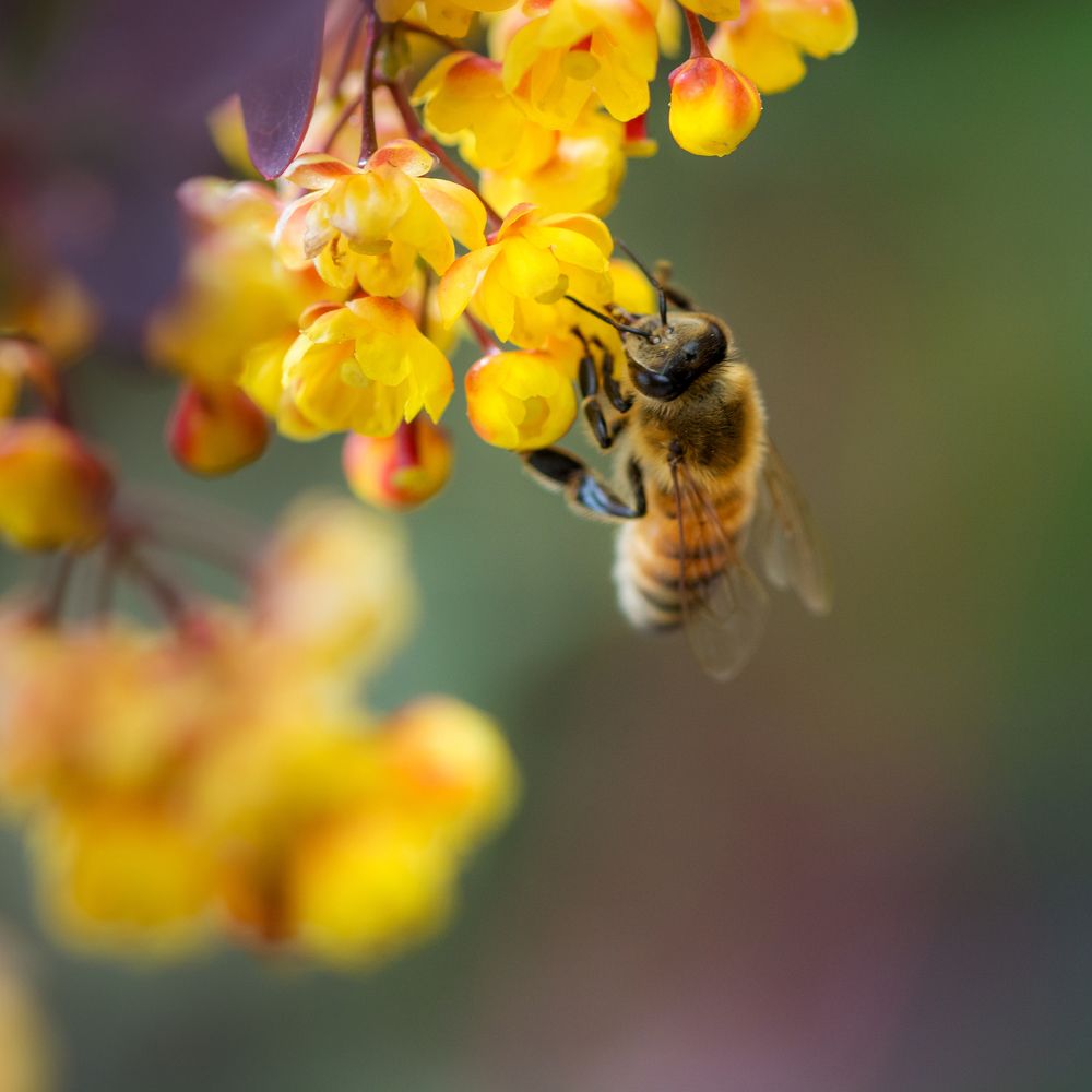 Photograph by moein vaezi