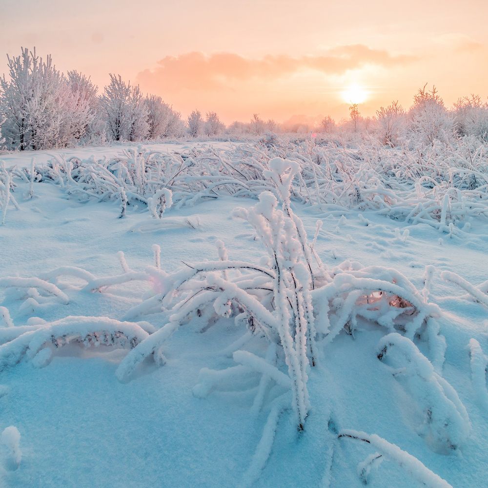 Зимний день