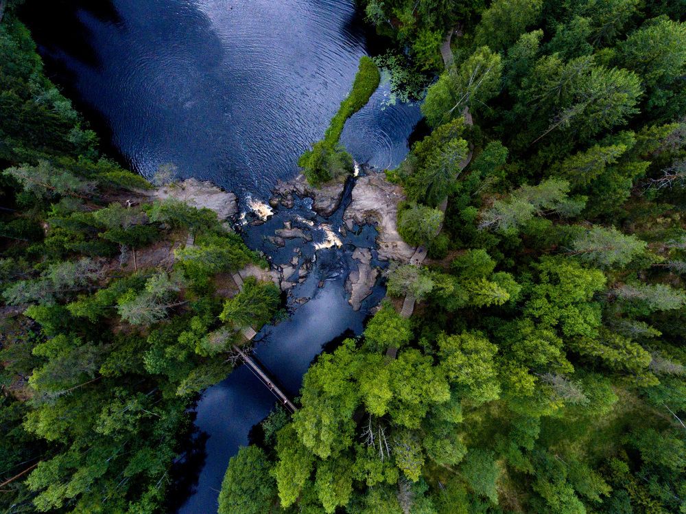 Photograph by Алина Чеснокова