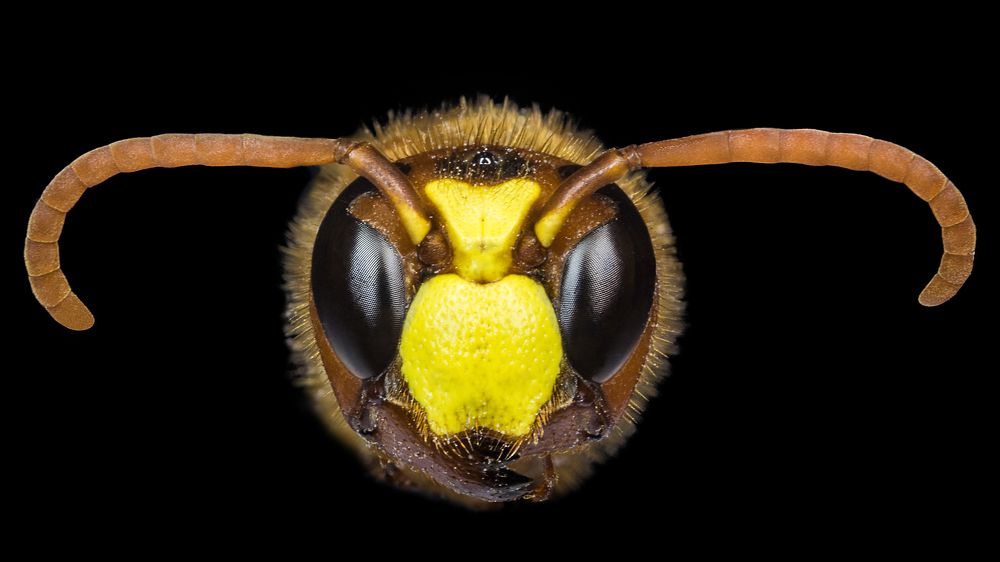 Photograph by moein vaezi