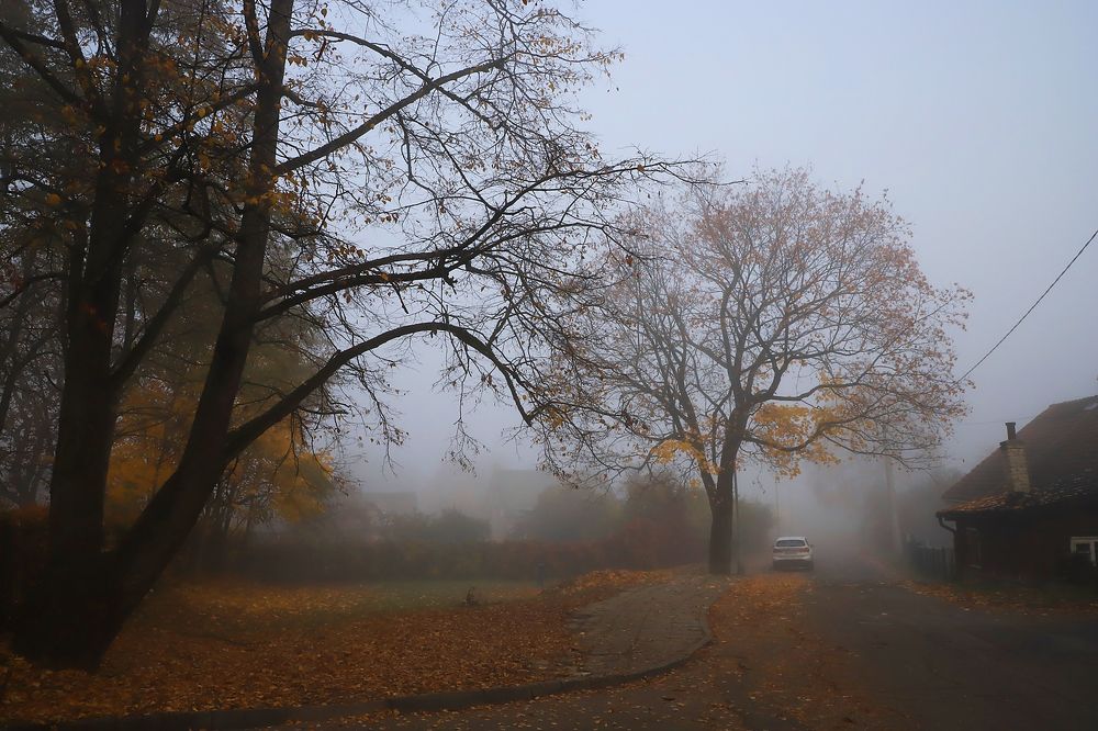 Утро туманное.