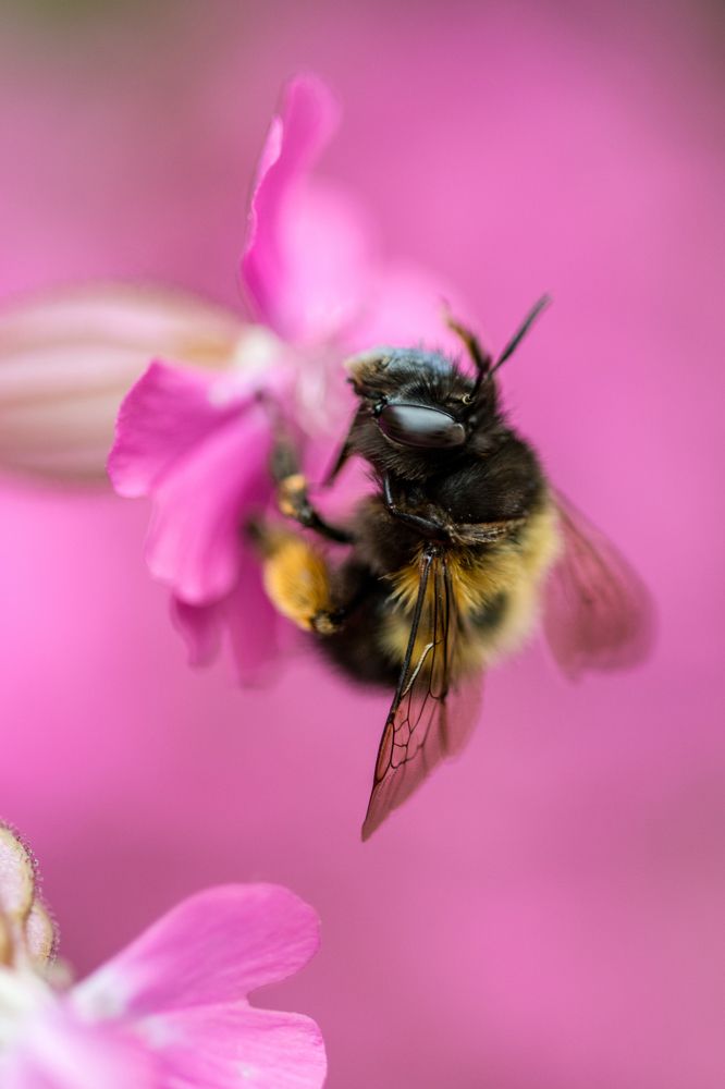 Photograph by moein vaezi