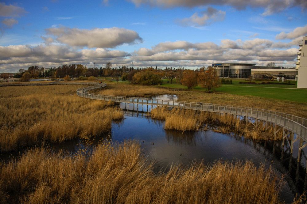 солнечный день в эстонском городке