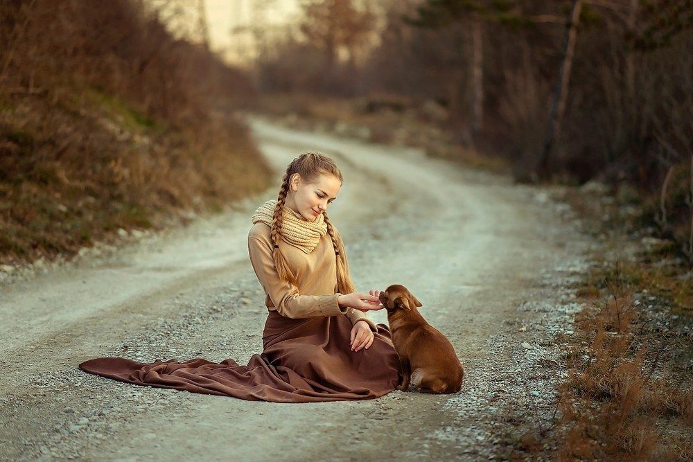 Любимая собачка