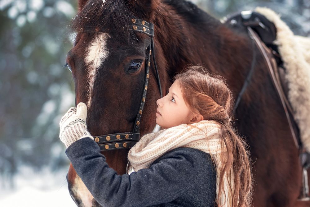 Photograph by Ольга  Шестак