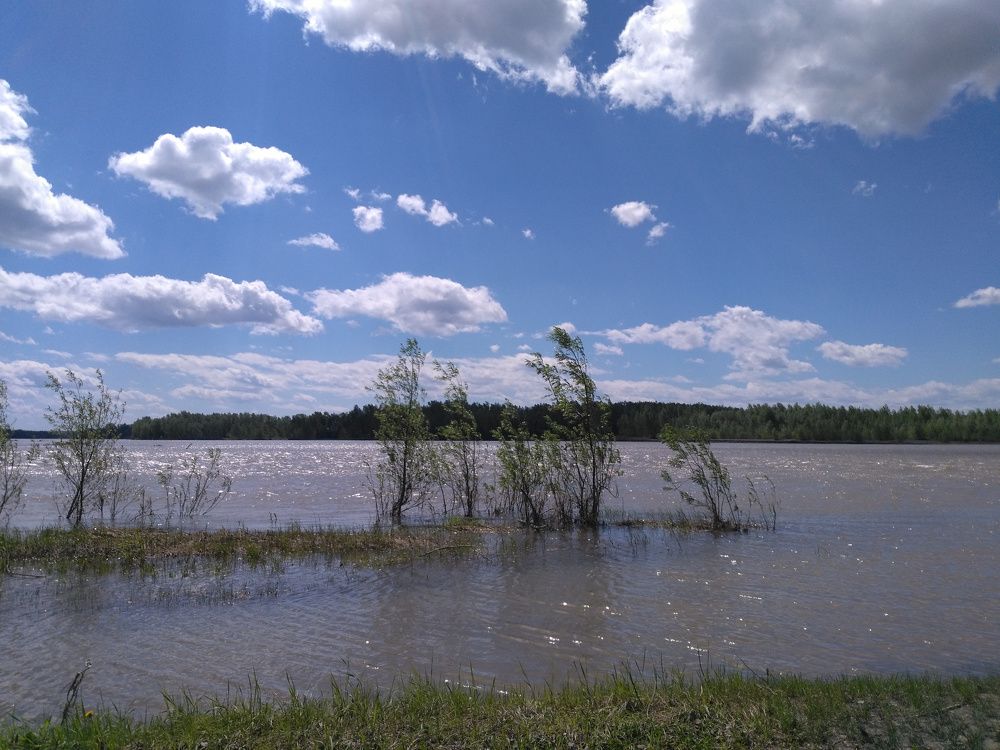 Весенняя вода