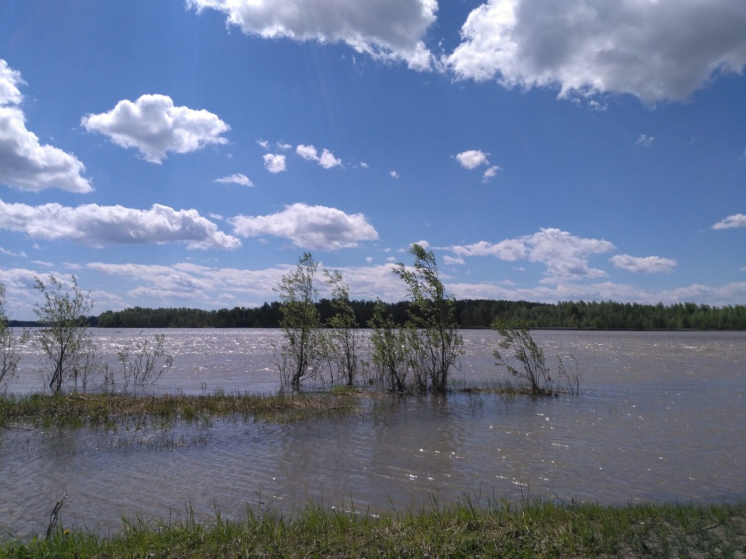 Весенняя вода