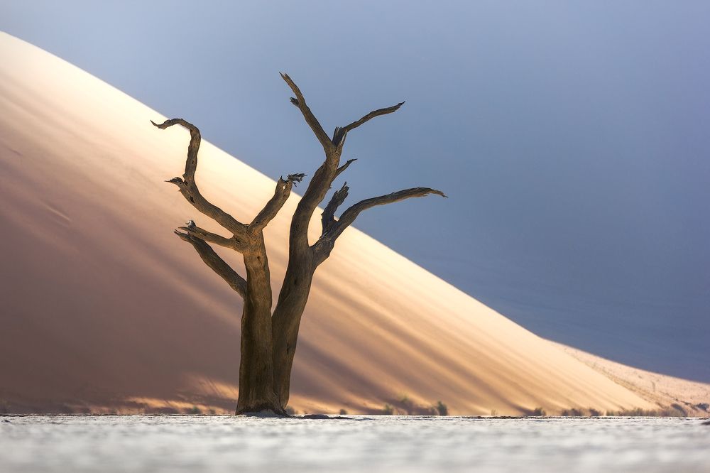 DeadVlei