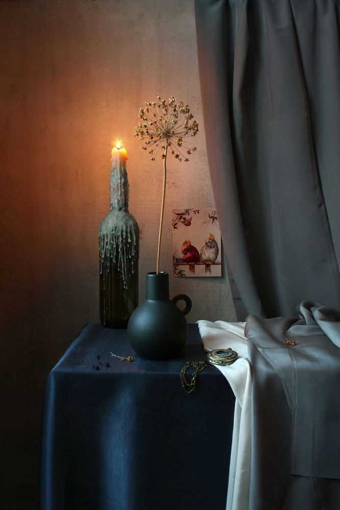 Два попугая под пальмой в зимний вечер