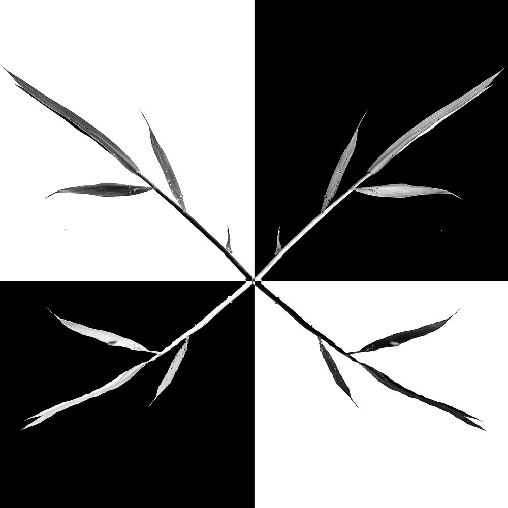 Отражение 2