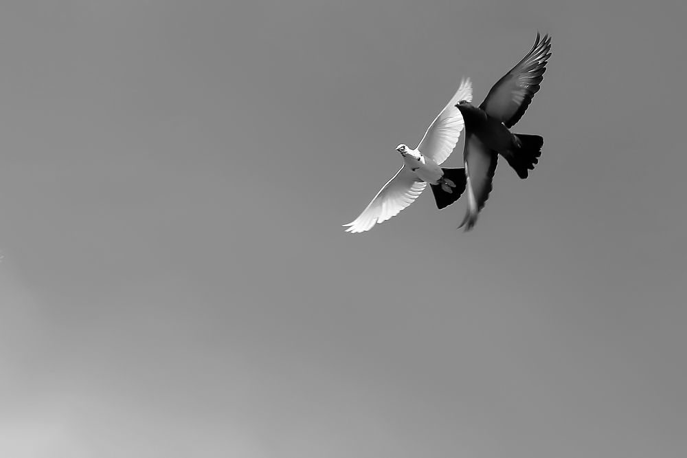 Небесная любовь