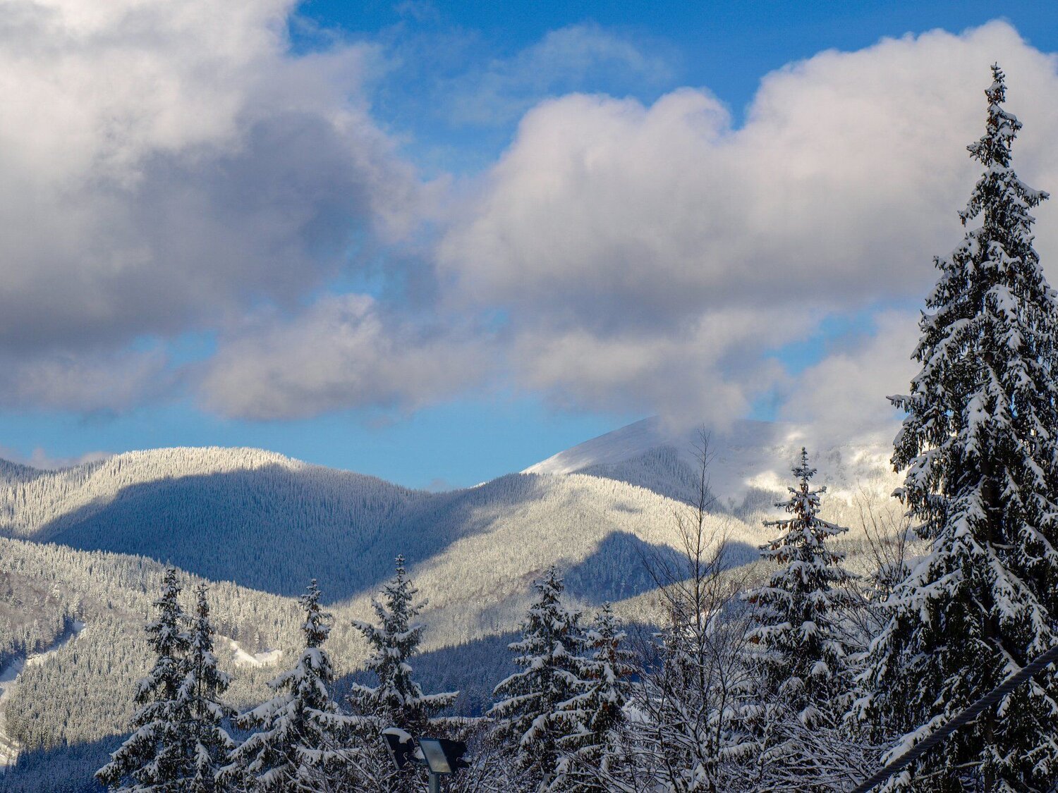 Winter fairytale