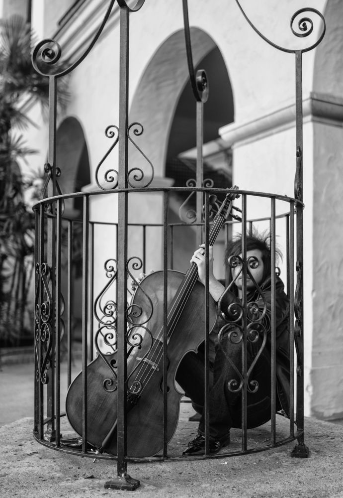 Bird in Cage