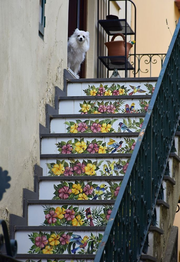 Будете на Капри, заходите в гости!