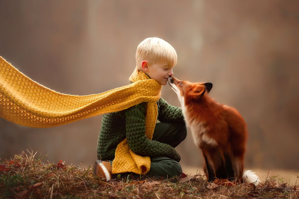 и это тоже любовь