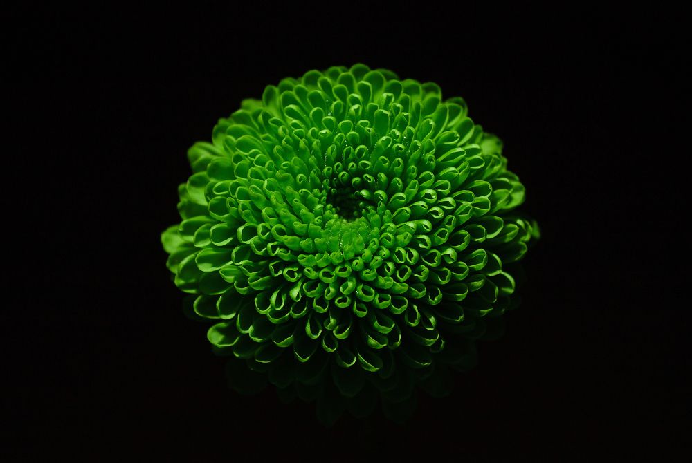 Photograph by Мария Бузыцкая