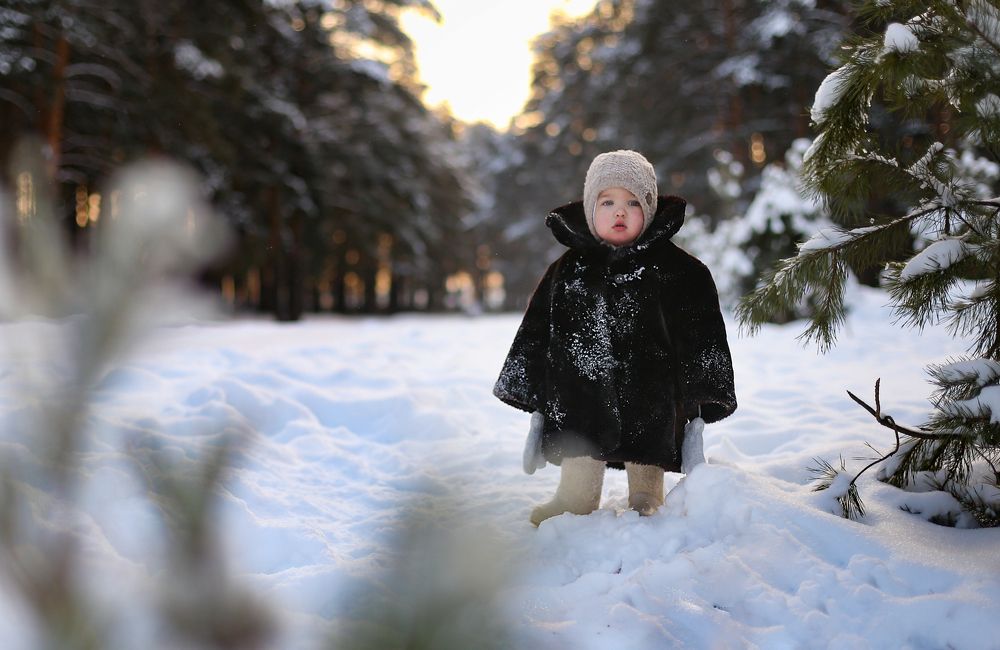 Зимнее утро