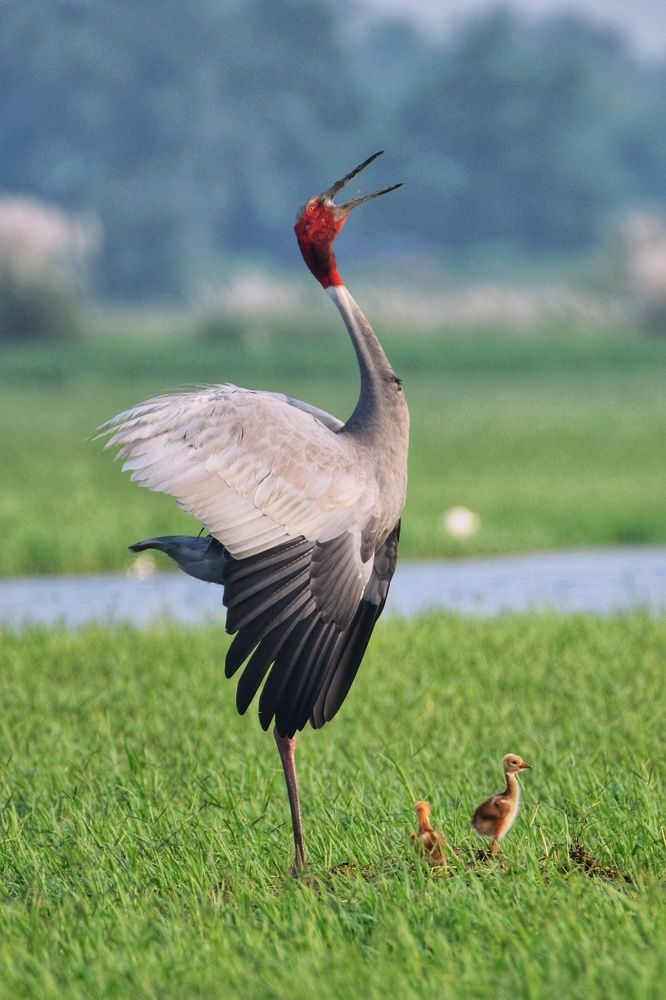 The joy of Motherhood