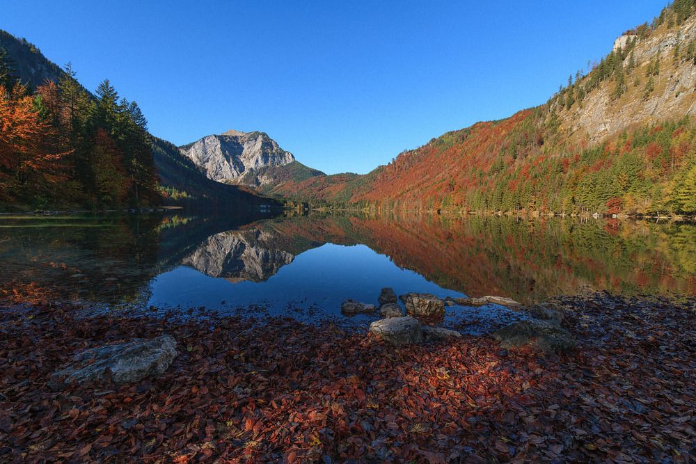 Photograph by Nexter