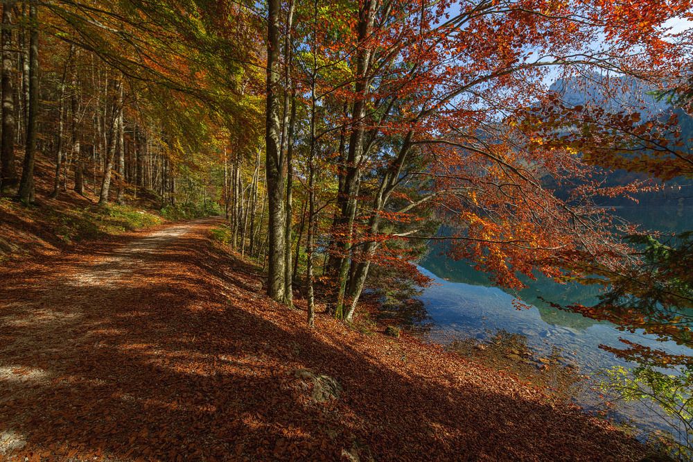 Photograph by Nexter