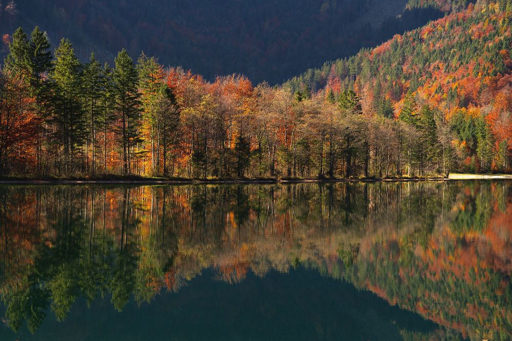 Photograph by Nexter