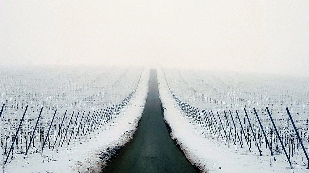 Wine road