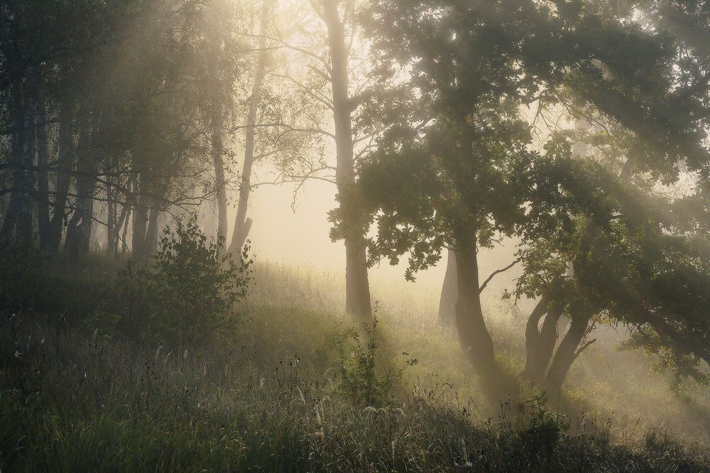 Утро на Дубнике