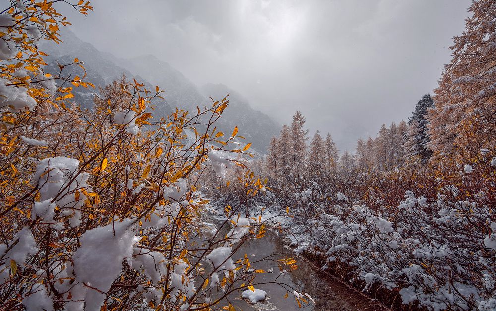 Падает снег и тает...