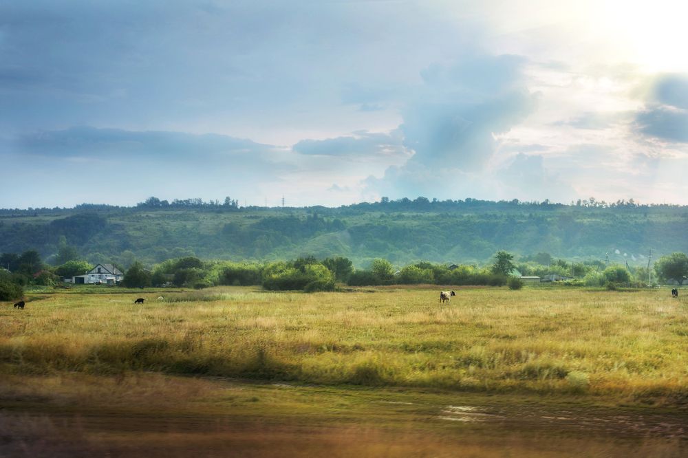 Photograph by яна