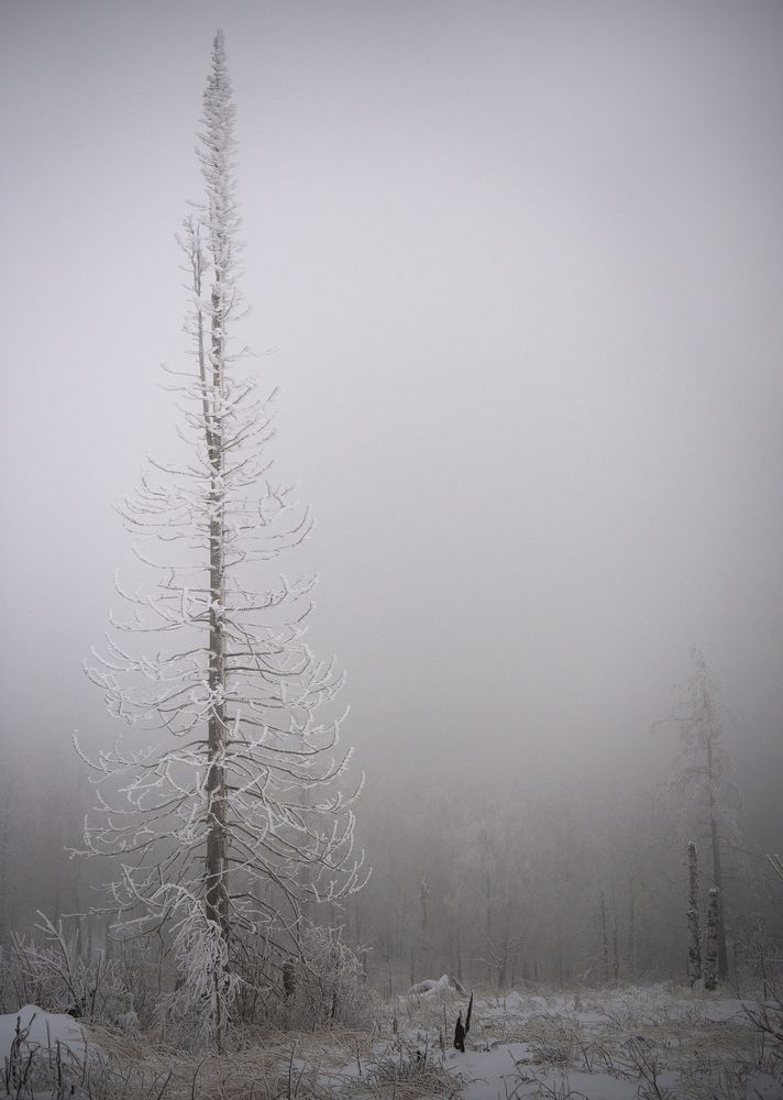 Туманный Ямантау.