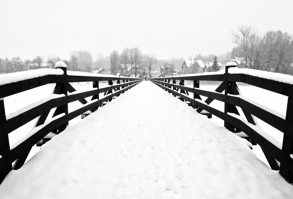 дорога в тишину