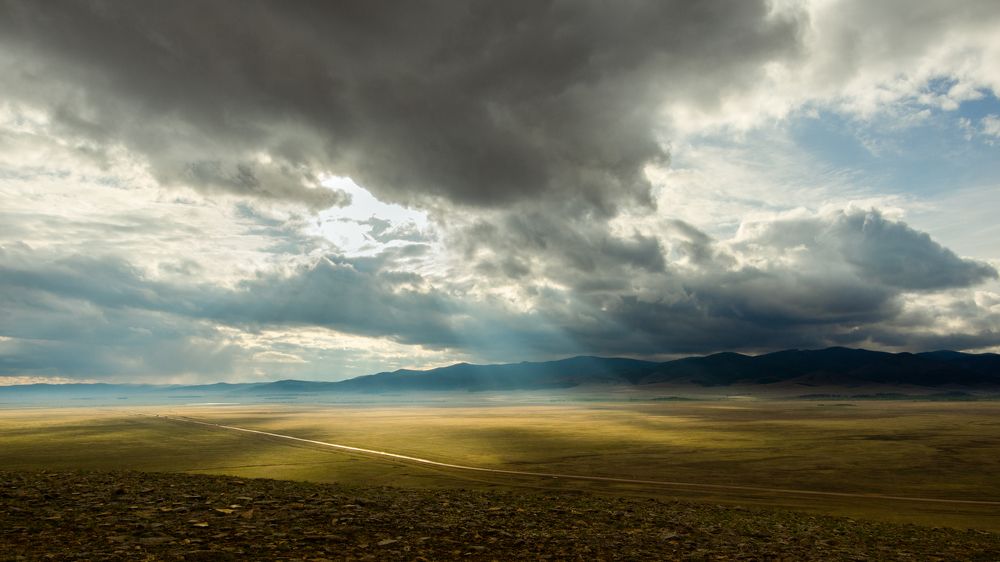 Вкушая родные просторы.