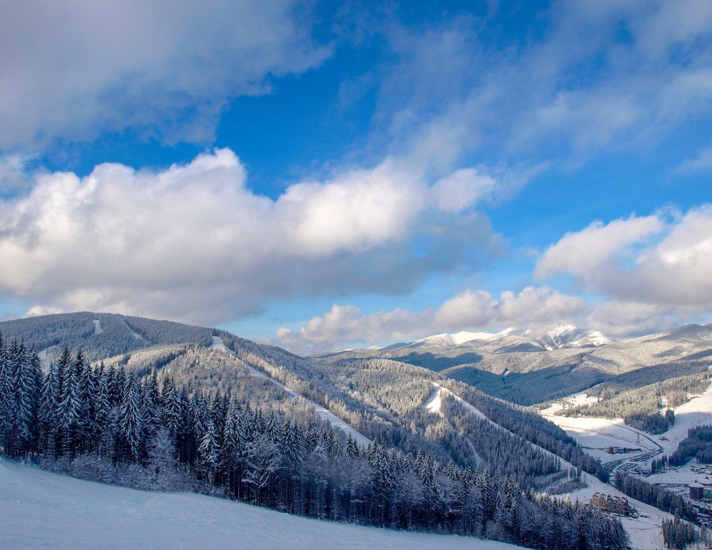 Winter fairytale