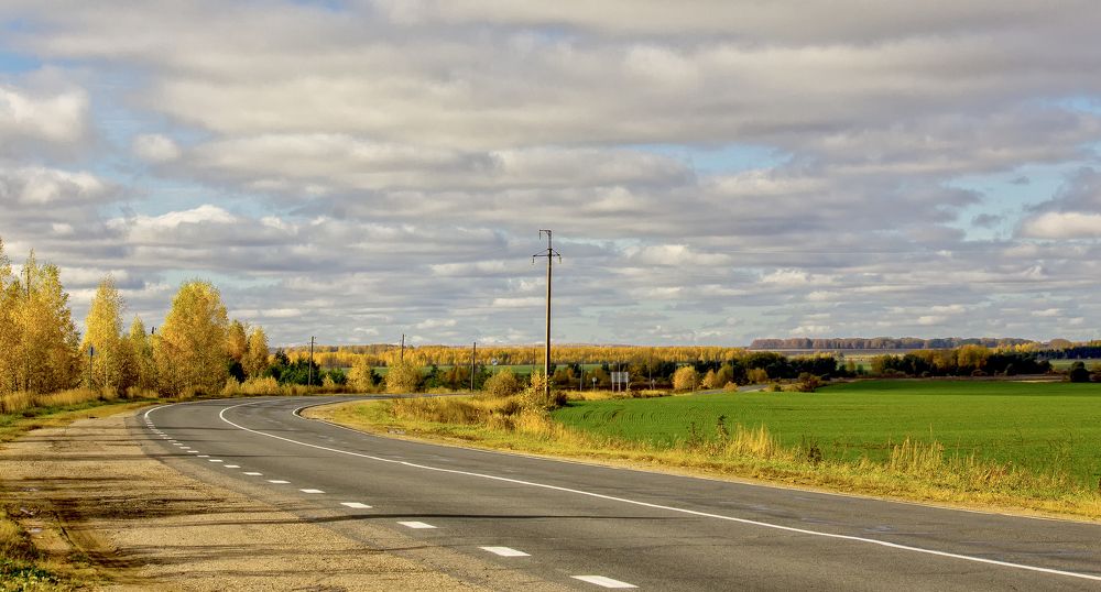 Дорога в осень.