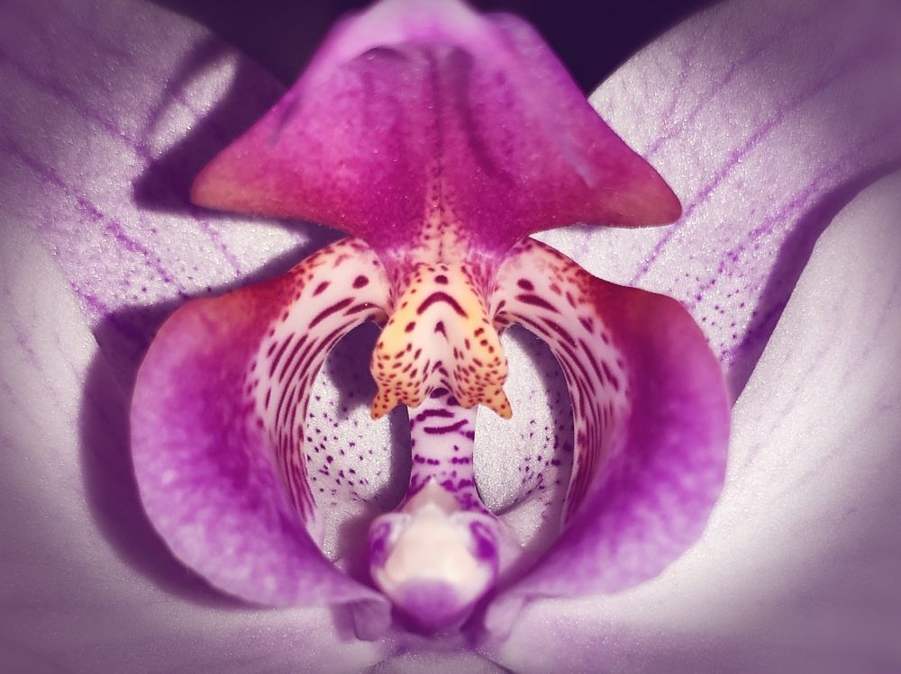 Photograph by Karina Sapfir