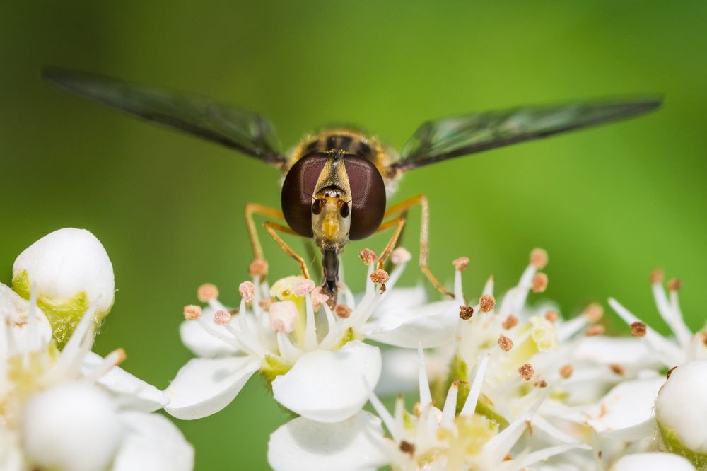 Photograph by moein vaezi