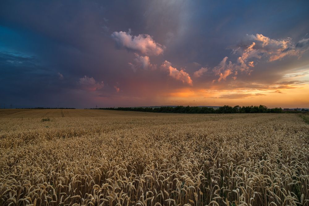 ЛЕТНИЙ ВЕЧЕР