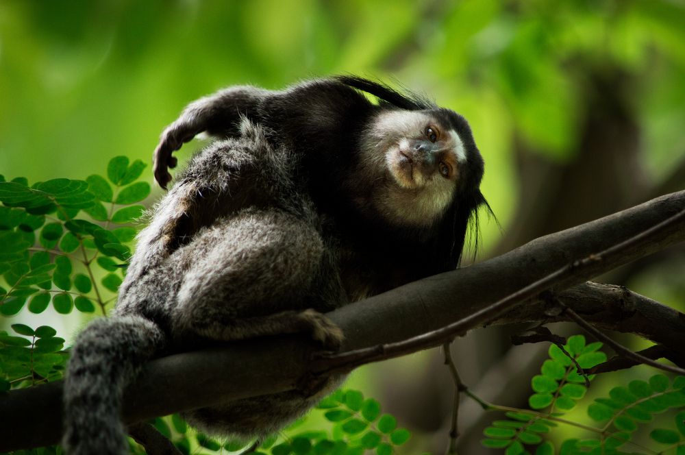 Photograph by João Marcos Silva do Nascimento