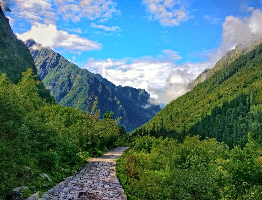 THE TRAIL