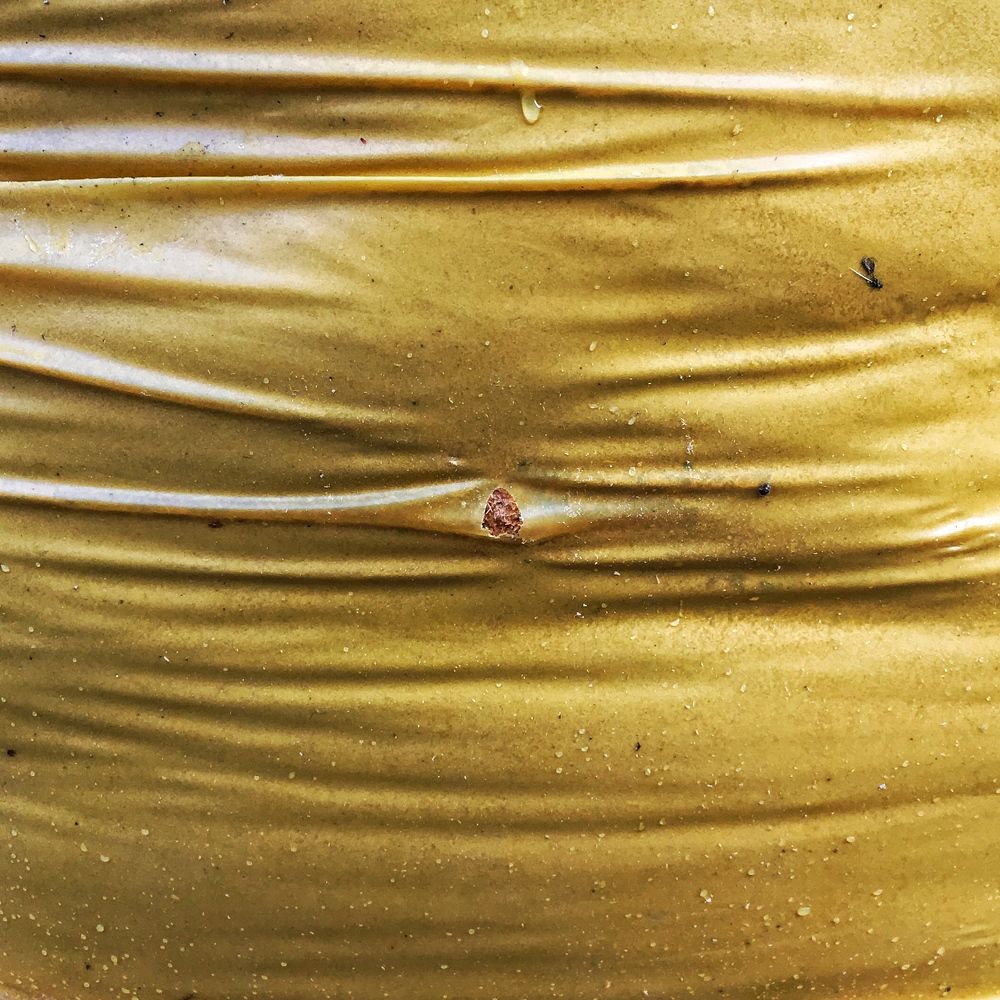 Fat