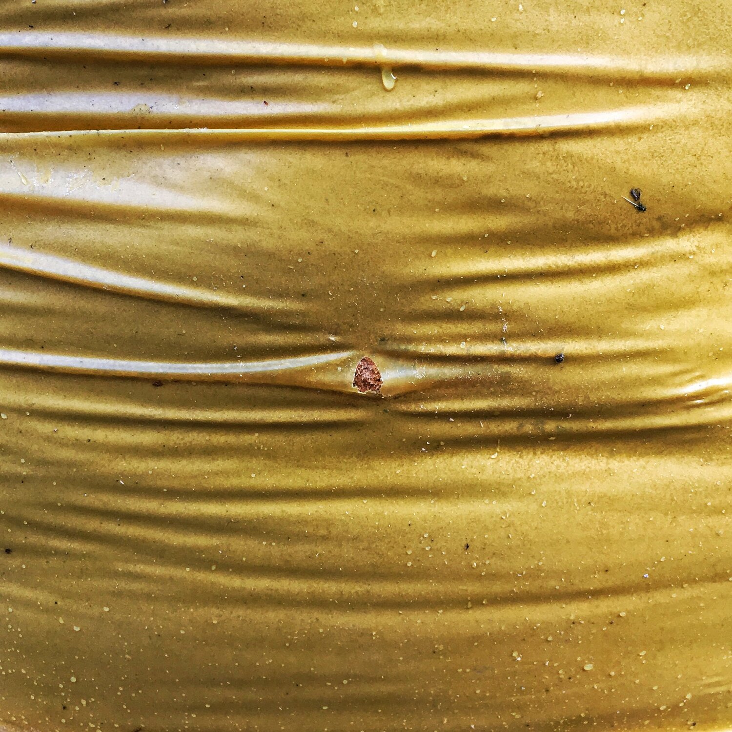 Fat