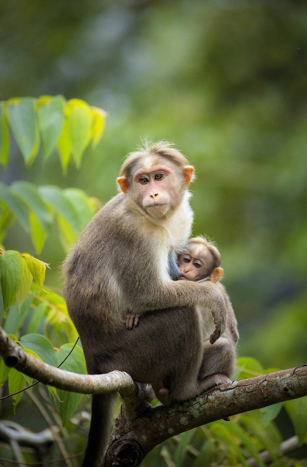 Love means mother