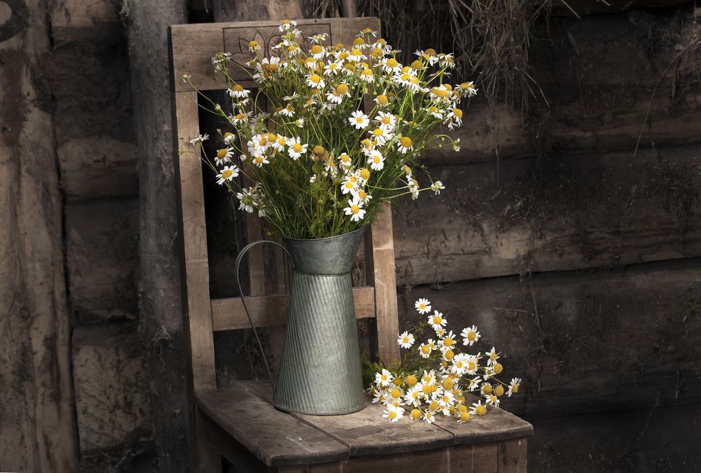 Деревенский натюрморт...