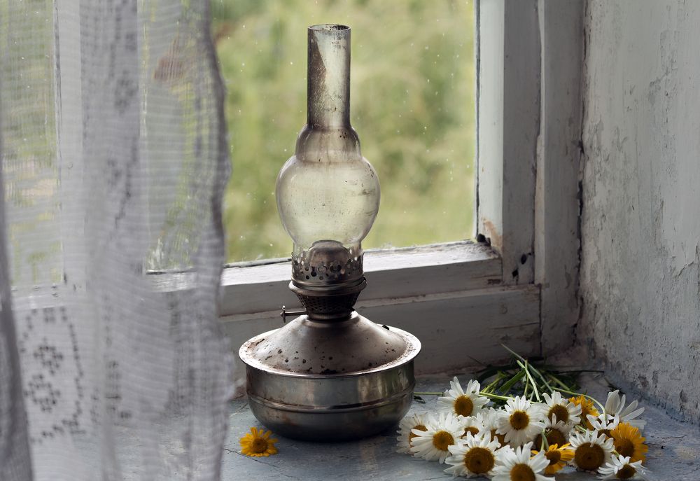 Ромашки на окне.