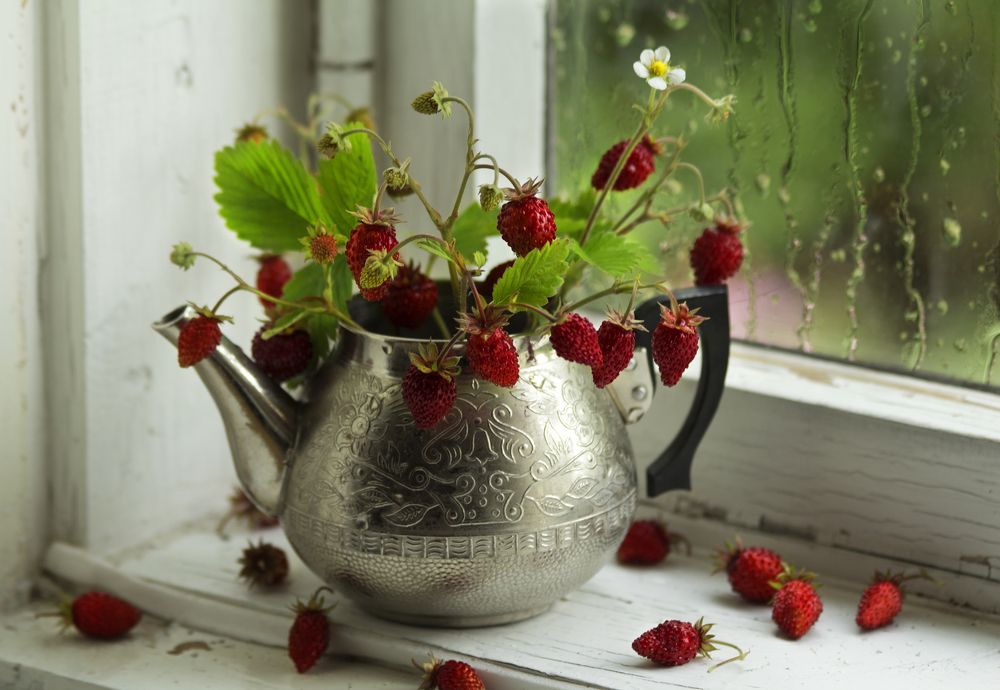 Спелая земляника.